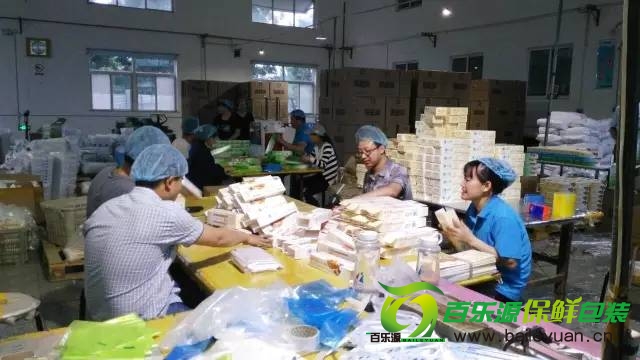 百樂源家人奮斗在生產線上.jpg